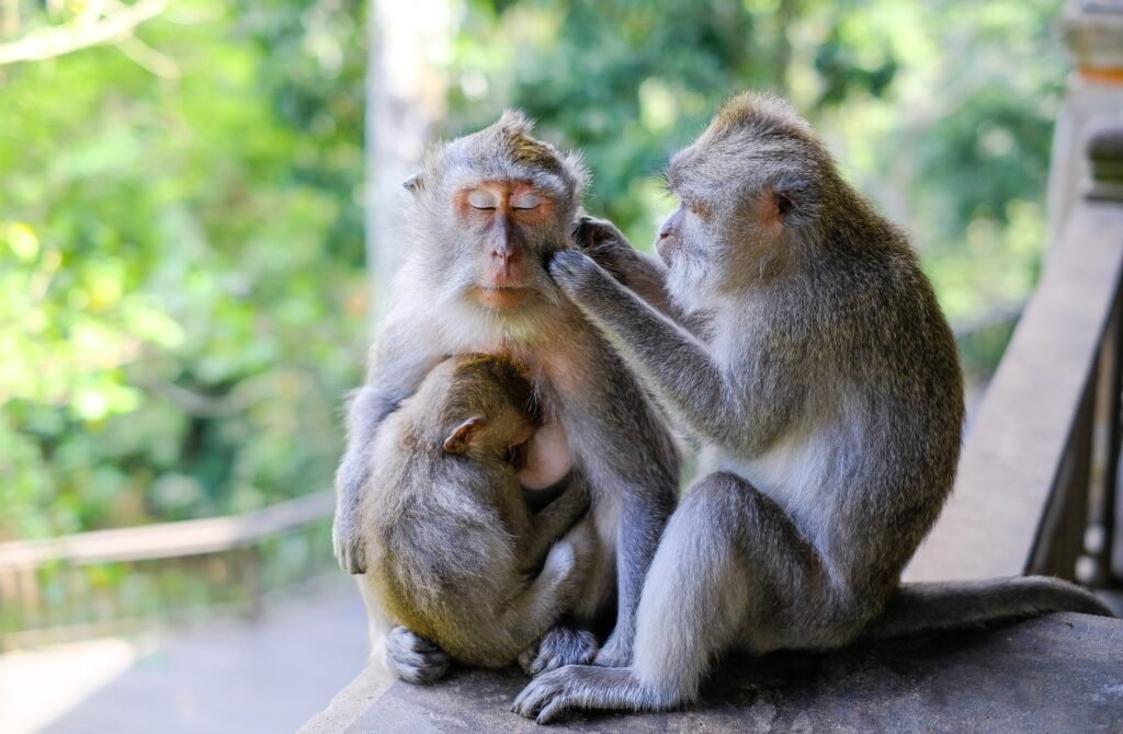 Bali Itinerary 7 Days